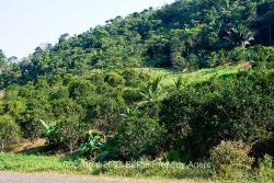 from road