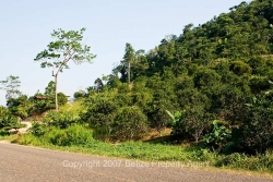 from highway