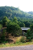 small building