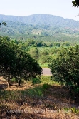 hummingbird hwy