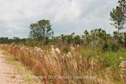 property line