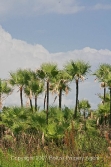 look north