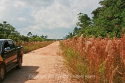 property line