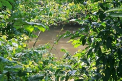 beautiful river