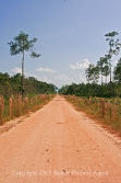 property line