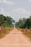 excellent road