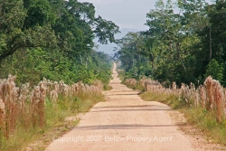 beautiful road