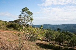 look south west