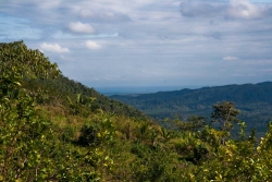 look east to sea