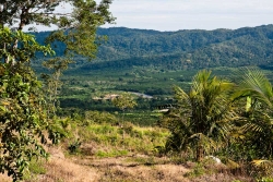 look south