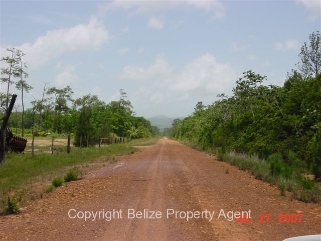 belize property-all season road