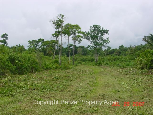 Belize real estate-13 acres off southern