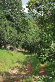 look downhill