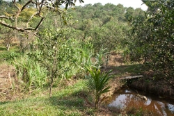 Belize riverfront land