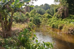 River borders Belize property