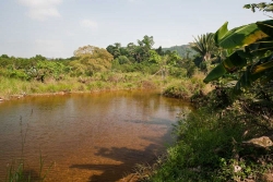 Belize land- beautiful river