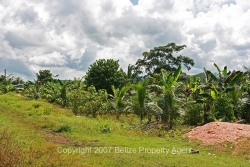 property front