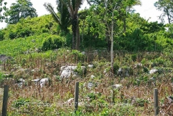 property front