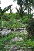 ancient steps