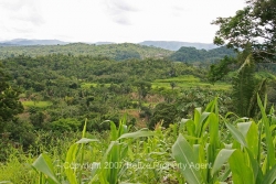 valley view