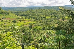valley view