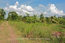 from road