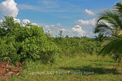 property line
