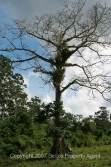 2008-02-20-085.jpg