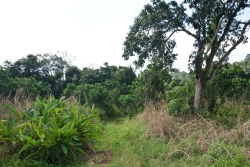 24-acres-pomona-6875.jpg