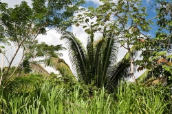 24-acres-pomona-6894.jpg