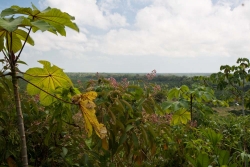 24-acres-pomona-6912.jpg