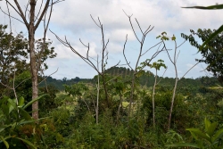 24-acres-pomona-6914.jpg
