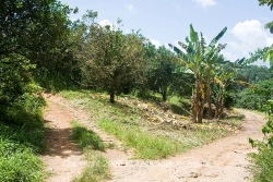 great roads