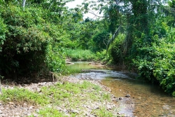gorgeous river
