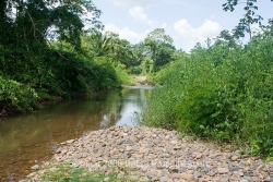 fantastic river