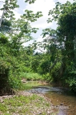 beautiful river