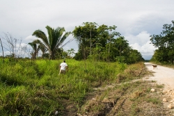 Belize Real estate for sale