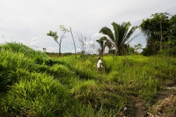 Properties in Belize for sale