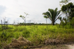 Real Estate in Belize for sale