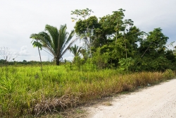 Belize Properties for sale