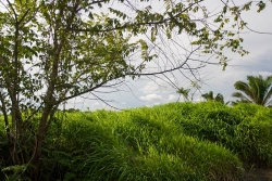 Belize Property