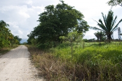 Belize Properties