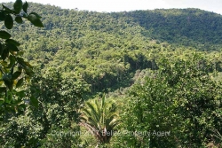 valley view