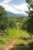 valley view