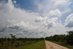 Belize citrus-excellent all season roads