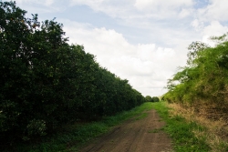Belize properties for sale-excellent road system