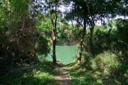 Belize properties-shades of green