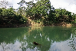 Belize property-gorgeous river frontage
