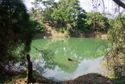 Belize land-Amazing river frontage