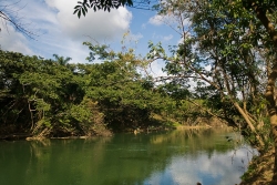 property in Belize-almost 1 mile of river